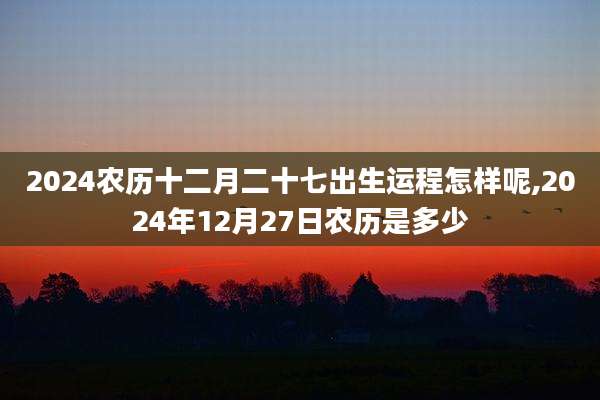 2024农历十二月二十七出生运程怎样呢,2024年12月27日农历是多少
