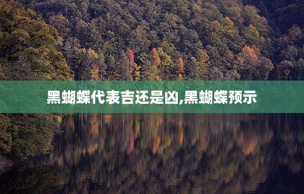 黑蝴蝶代表吉还是凶,黑蝴蝶预示
