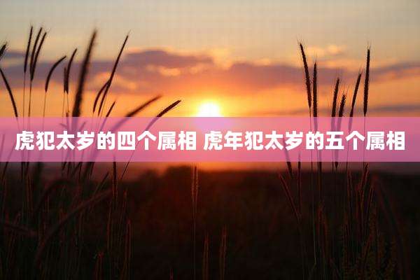 虎犯太岁的四个属相 虎年犯太岁的五个属相