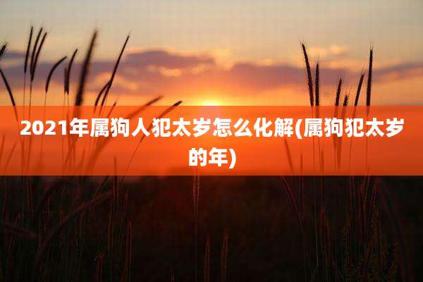 2021年属狗人犯太岁怎么化解(属狗犯太岁的年)