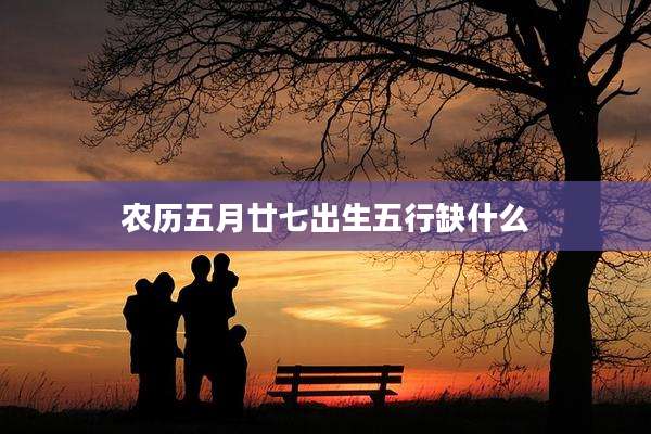 农历五月廿七出生五行缺什么