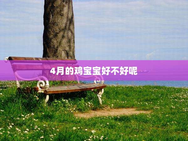 4月的鸡宝宝好不好呢