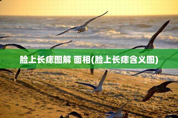 脸上长痣图解 面相(脸上长痣含义图)