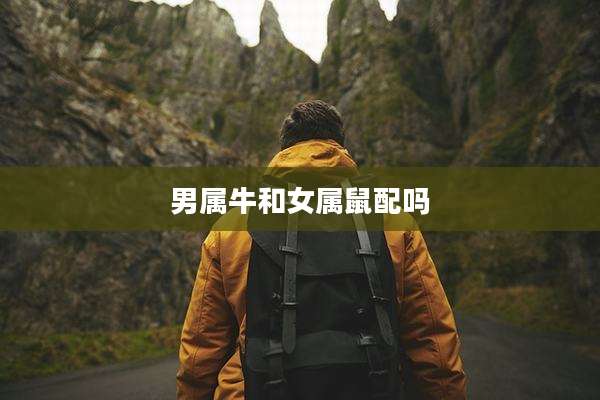 男属牛和女属鼠配吗