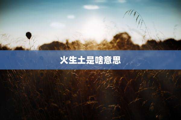 火生土是啥意思