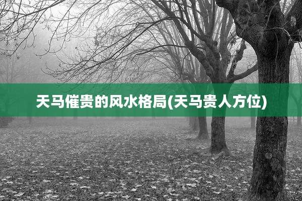 天马催贵的风水格局(天马贵人方位)