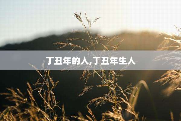 丁丑年的人,丁丑年生人