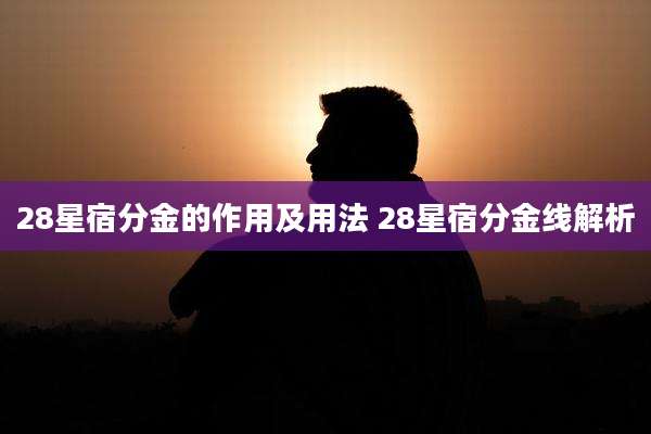 28星宿分金的作用及用法 28星宿分金线解析
