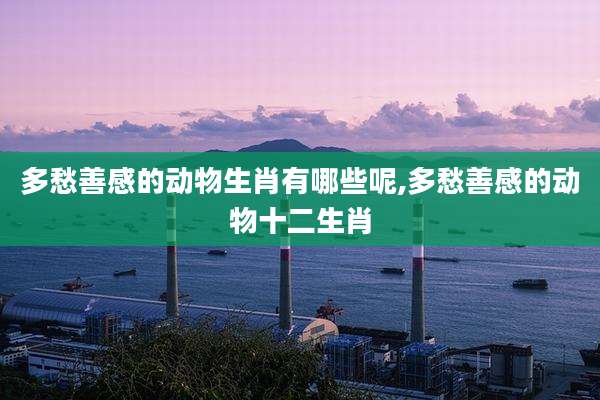多愁善感的动物生肖有哪些呢,多愁善感的动物十二生肖