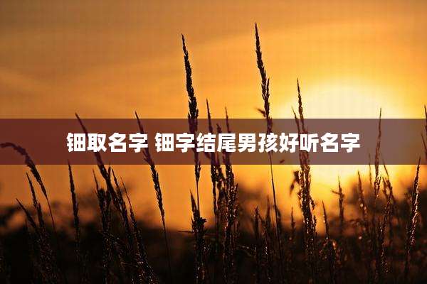钿取名字 钿字结尾男孩好听名字