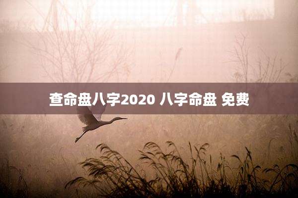 查命盘八字2020 八字命盘 免费