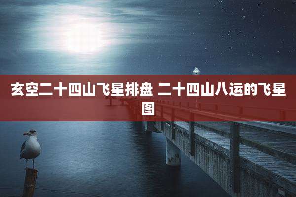 玄空二十四山飞星排盘 二十四山八运的飞星图