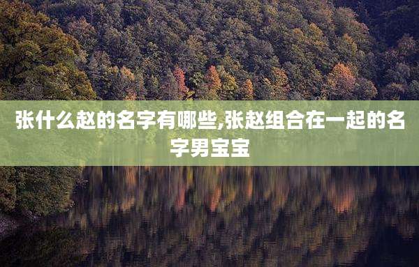 张什么赵的名字有哪些,张赵组合在一起的名字男宝宝