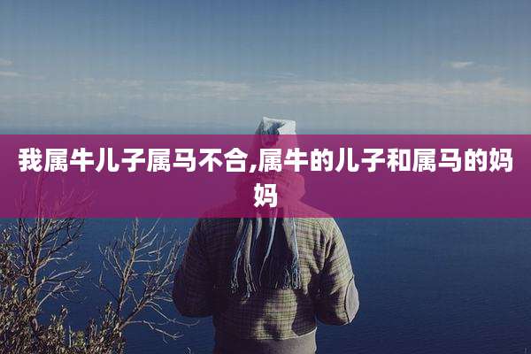 我属牛儿子属马不合,属牛的儿子和属马的妈妈