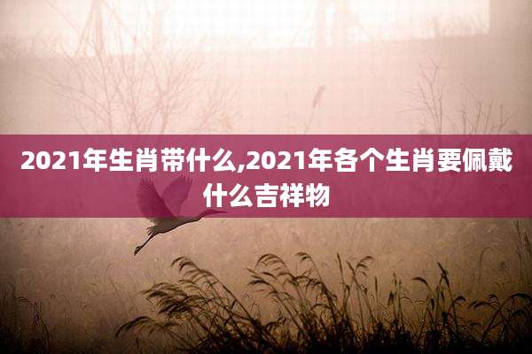 2021年生肖带什么,2021年各个生肖要佩戴什么吉祥物