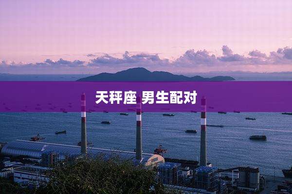 天秤座 男生配对