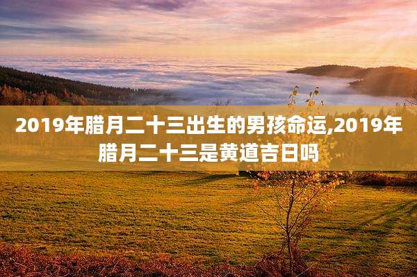 2019年腊月二十三出生的男孩命运,2019年腊月二十三是黄道吉日吗