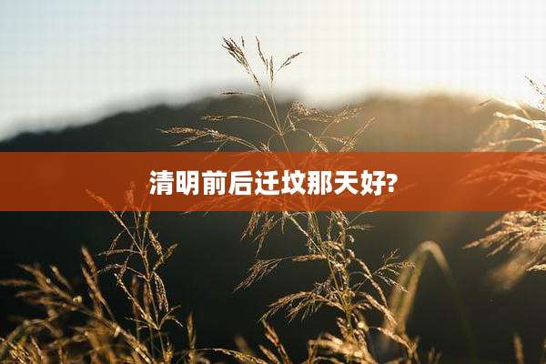 清明前后迁坟那天好?