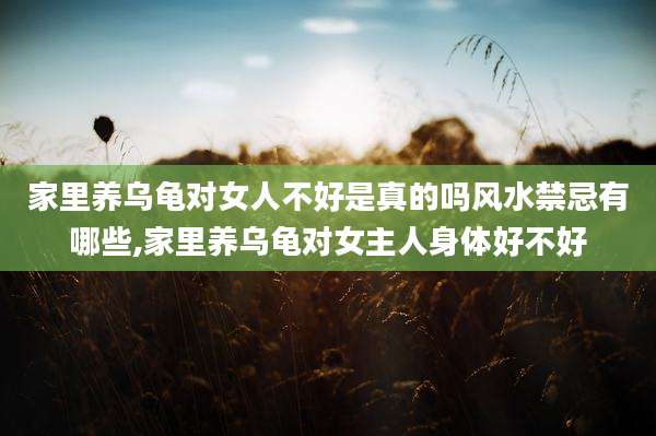 家里养乌龟对女人不好是真的吗风水禁忌有哪些,家里养乌龟对女主人身体好不好