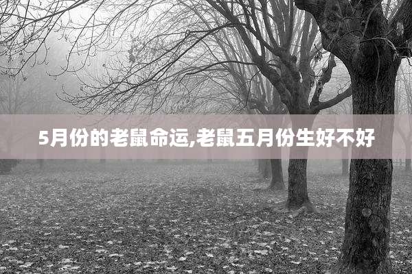 5月份的老鼠命运,老鼠五月份生好不好