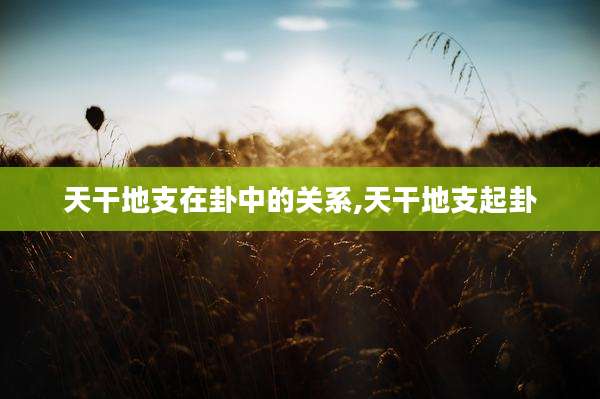 天干地支在卦中的关系,天干地支起卦