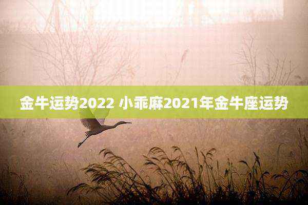 金牛运势2022 小乖麻2021年金牛座运势