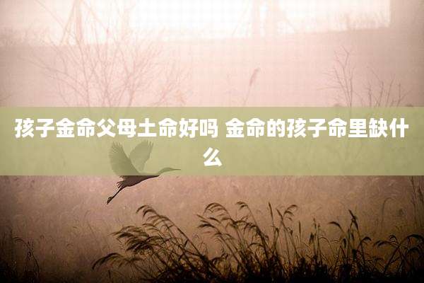 孩子金命父母土命好吗 金命的孩子命里缺什么