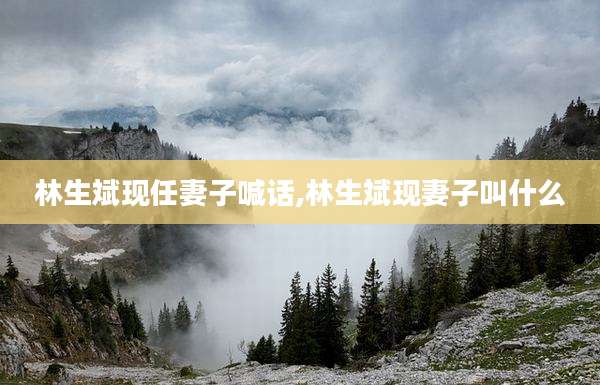 林生斌现任妻子喊话,林生斌现妻子叫什么