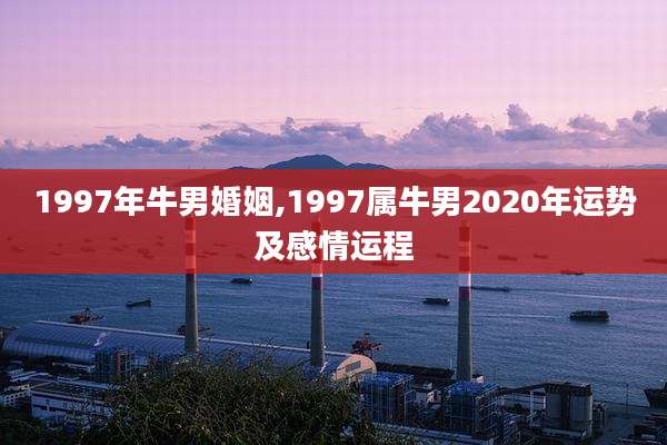 1997年牛男婚姻,1997属牛男2020年运势及感情运程