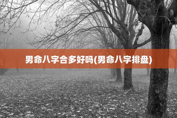 男命八字合多好吗(男命八字排盘)