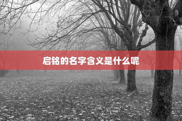 启铭的名字含义是什么呢