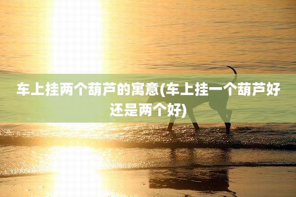 车上挂两个葫芦的寓意(车上挂一个葫芦好还是两个好)