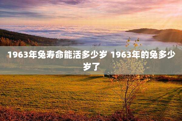 1963年兔寿命能活多少岁 1963年的兔多少岁了