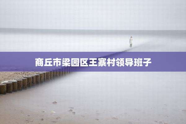 商丘市梁园区王寨村领导班子