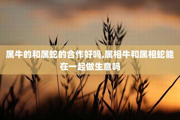属牛的和属蛇的合作好吗,属相牛和属相蛇能在一起做生意吗
