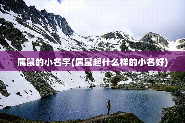 属鼠的小名字(属鼠起什么样的小名好)