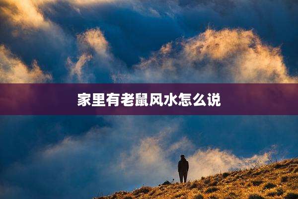 家里有老鼠风水怎么说