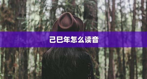 己巳年怎么读音