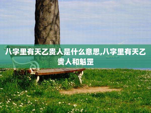 八字里有天乙贵人是什么意思,八字里有天乙贵人和魁罡