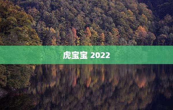 虎宝宝 2022
