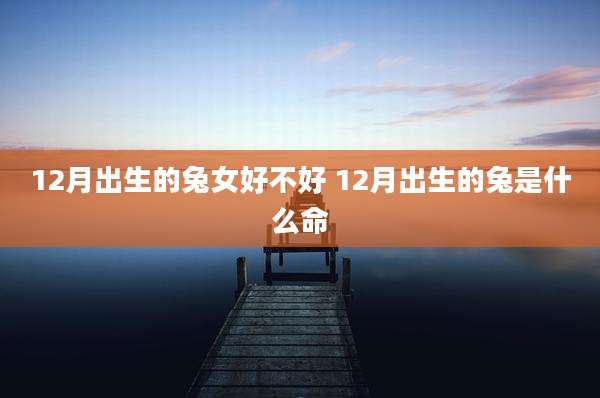 12月出生的兔女好不好 12月出生的兔是什么命