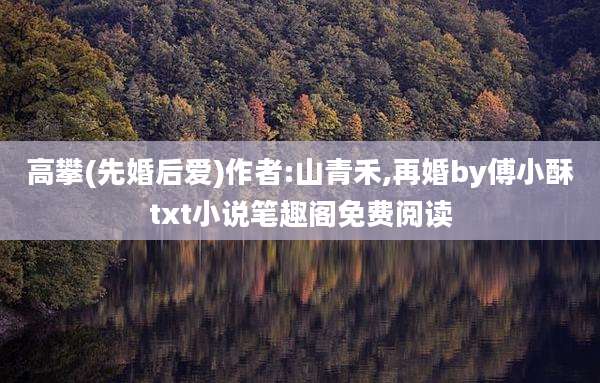 高攀(先婚后爱)作者:山青禾,再婚by傅小酥txt小说笔趣阁免费阅读