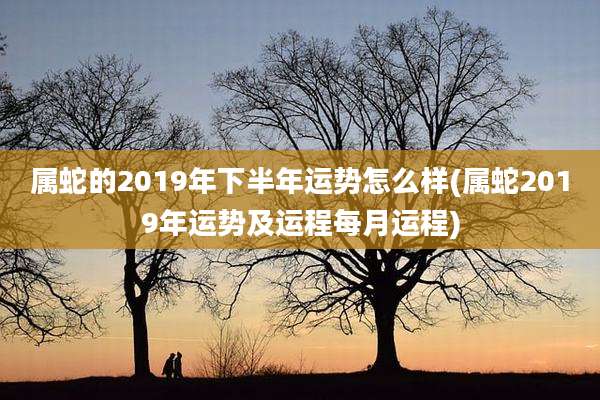 属蛇的2019年下半年运势怎么样(属蛇2019年运势及运程每月运程)