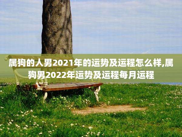 属狗的人男2021年的运势及运程怎么样,属狗男2022年运势及运程每月运程