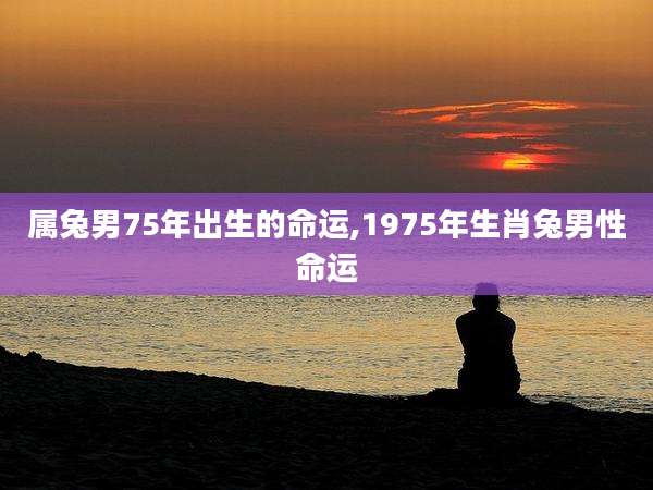 属兔男75年出生的命运,1975年生肖兔男性命运