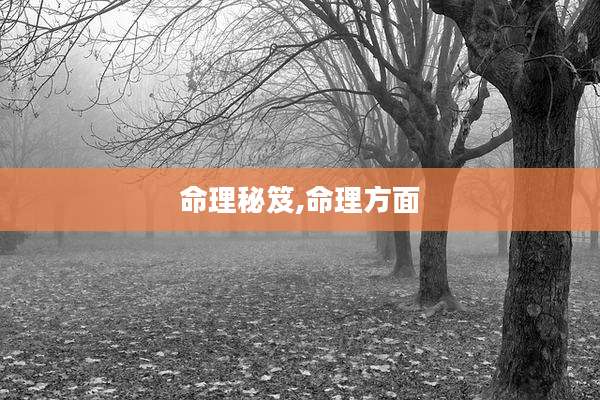 命理秘笈,命理方面