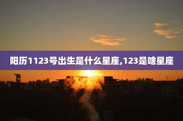 阳历1123号出生是什么星座,123是啥星座