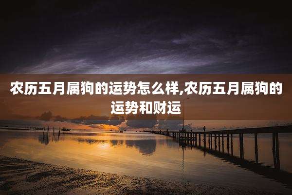 农历五月属狗的运势怎么样,农历五月属狗的运势和财运