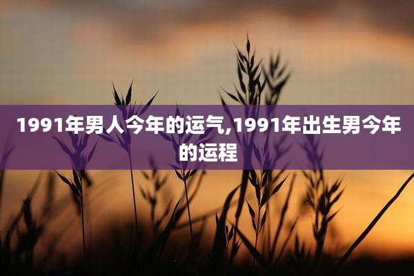 1991年男人今年的运气,1991年出生男今年的运程