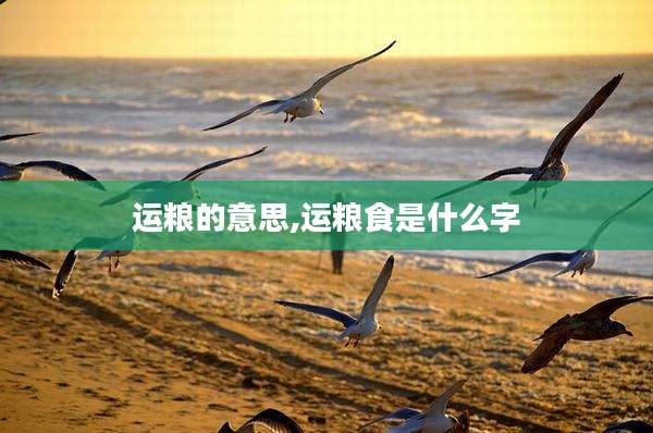 运粮的意思,运粮食是什么字